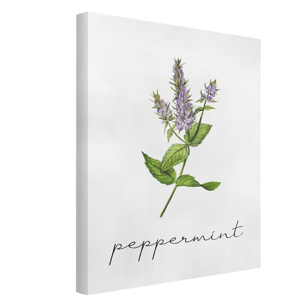 Quadros florais Herbs Illustration Pepper Mint