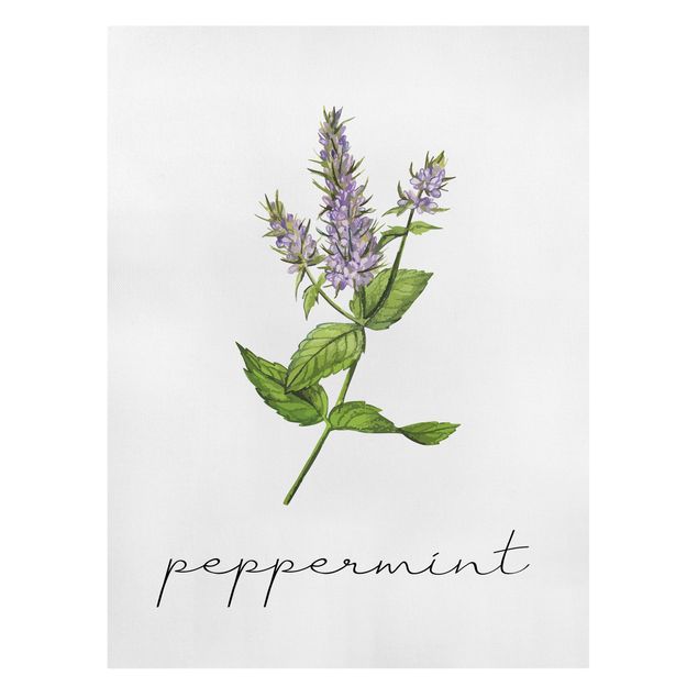 Telas decorativas temperos e ervas aromáticas Herbs Illustration Pepper Mint