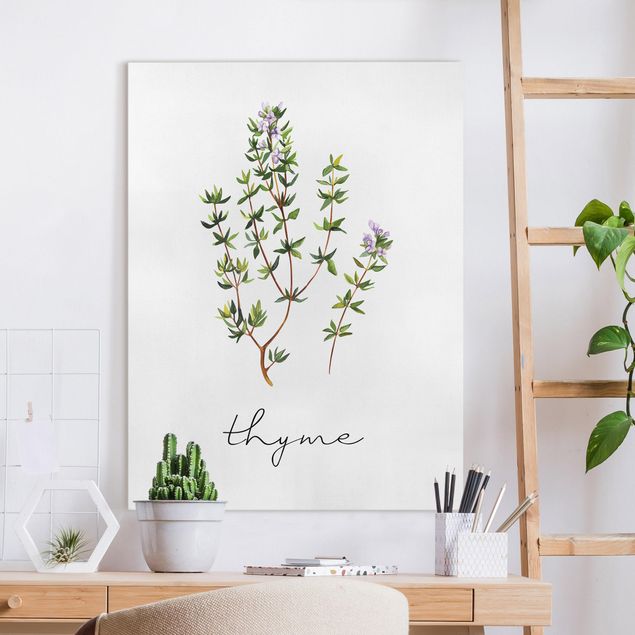 decoraçoes cozinha Herbs Illustration Thyme
