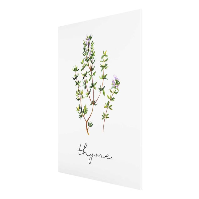 decoração quadros Herbs Illustration Thyme