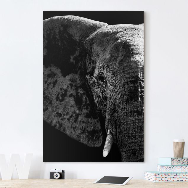 Quadros elefantes African Elephant black and white