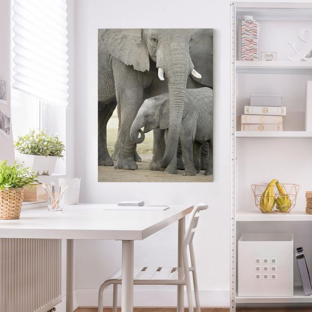 Quadros elefantes Elephant Love