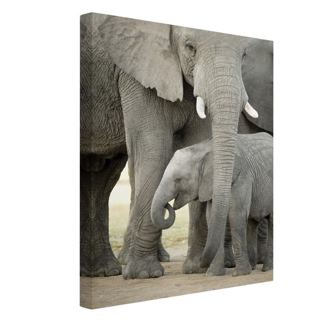 Telas decorativas animais Elephant Love