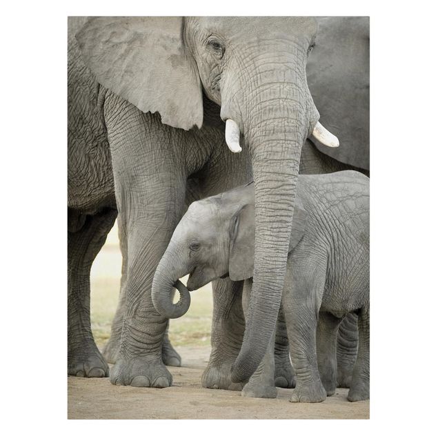 Quadros África Elephant Love