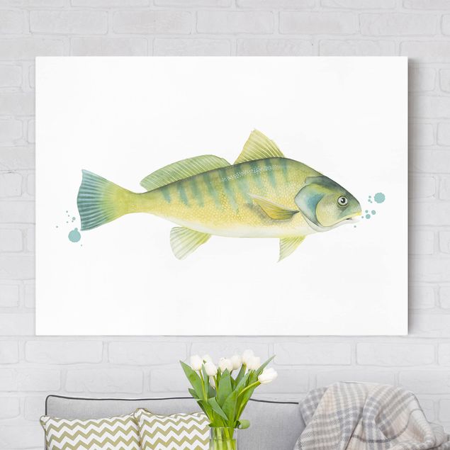 Telas decorativas peixes Color Catch - Perch