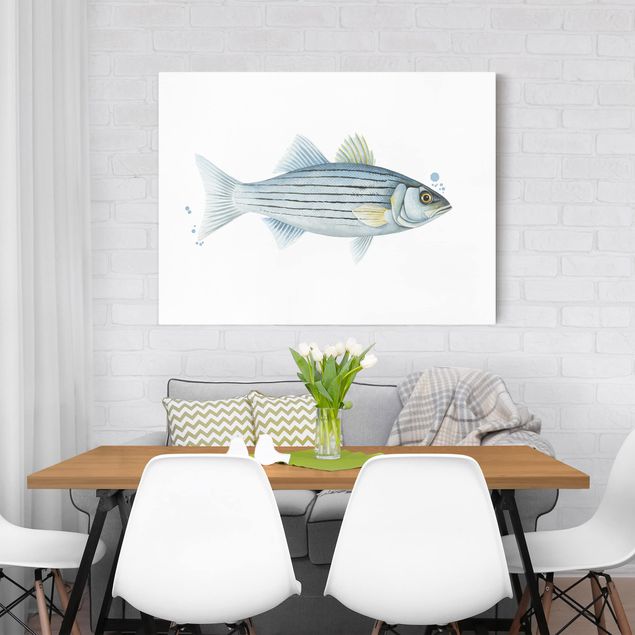 Quadros peixes Color Catch - White Perch