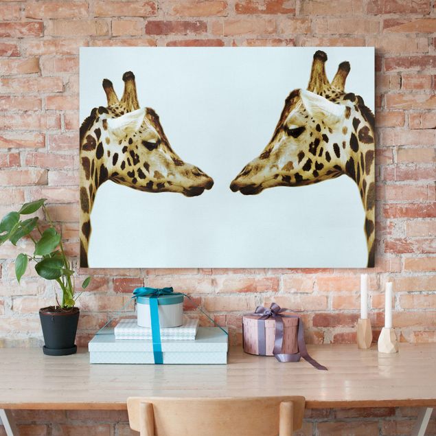 Telas decorativas girafas Giraffes In Love