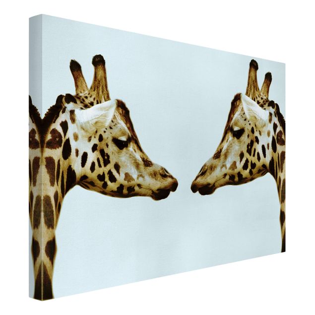 Telas decorativas animais Giraffes In Love