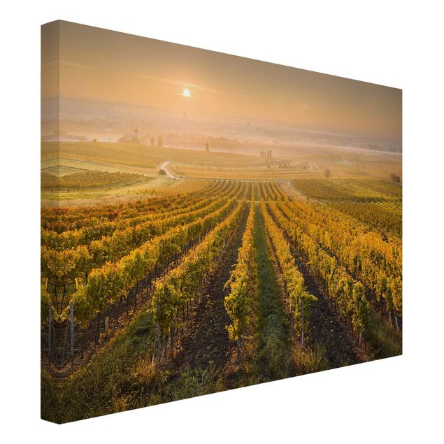 quadros de paisagens Autumnal Vineyards Near Vienna