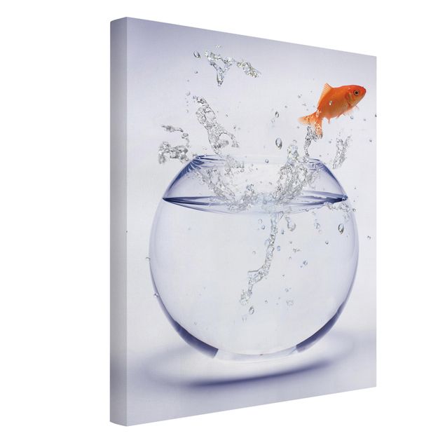 Telas decorativas animais Flying Goldfish