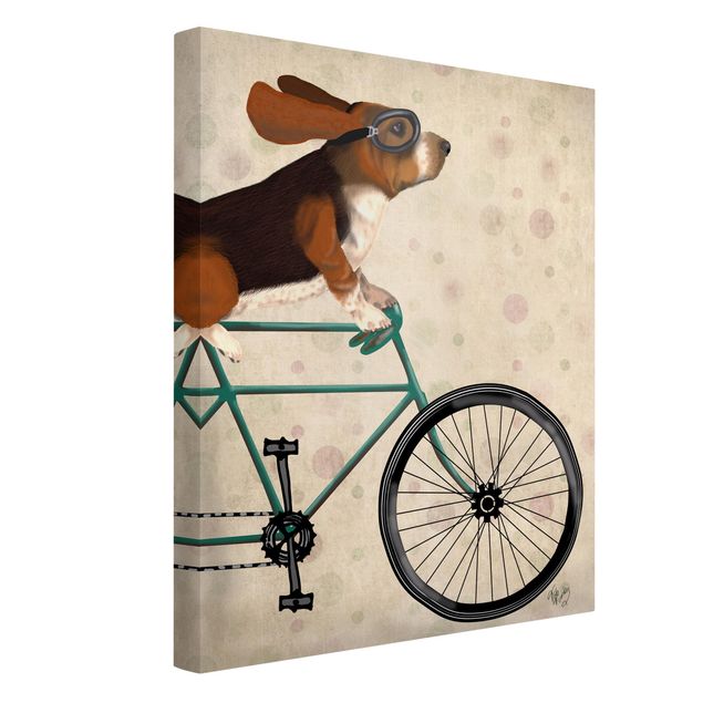 Quadros cães Cycling - Basset On Bike