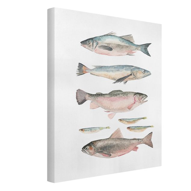 Telas decorativas animais Seven Fish In Watercolour I