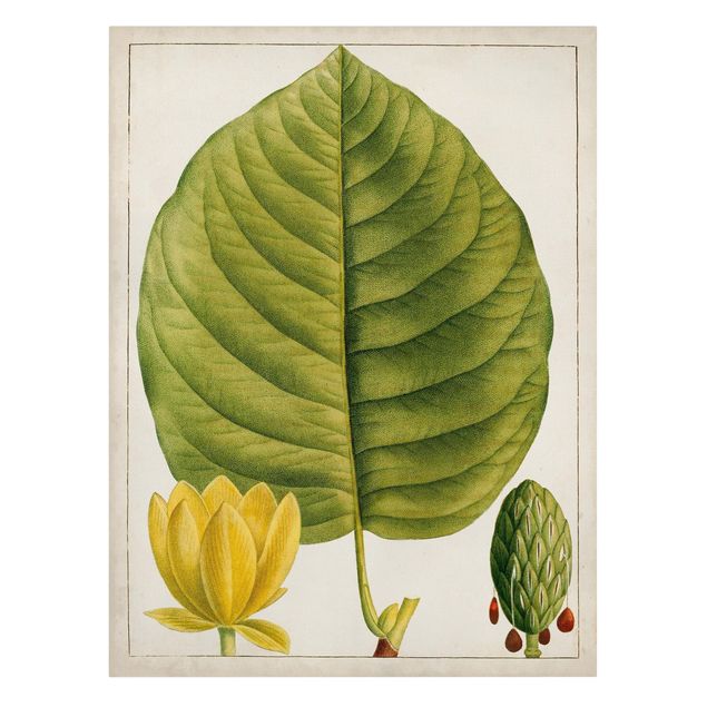 quadro decorativo verde Tableau Leaf Flower Fruit I