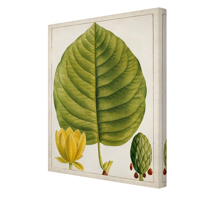 quadros para parede Tableau Leaf Flower Fruit I