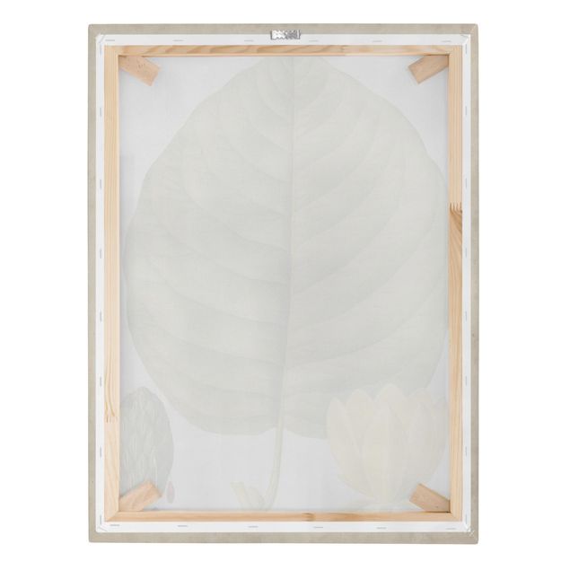 quadros em tela Tableau Leaf Flower Fruit I