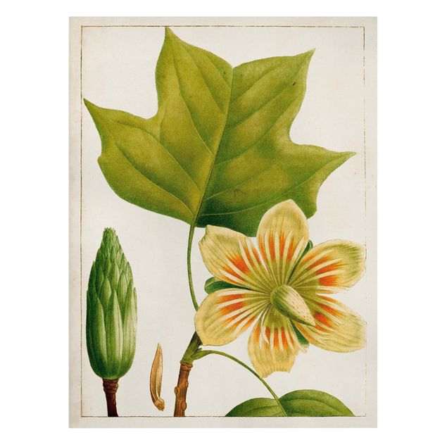 quadro decorativo verde Tableau Leaf Flower Fruit IV