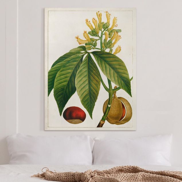 decoraçao para parede de cozinha Tableau Leaf Flower Fruit VI