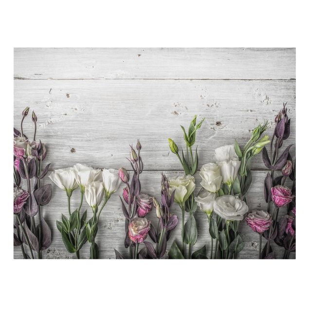 quadros flores Tulip Rose Shabby Wood Look