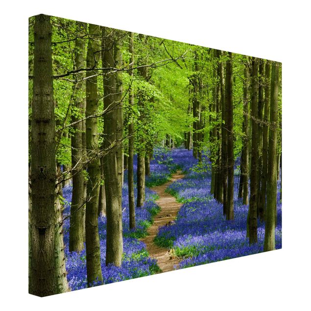 quadros 3d efeito tridimensional Trail in Hertfordshire