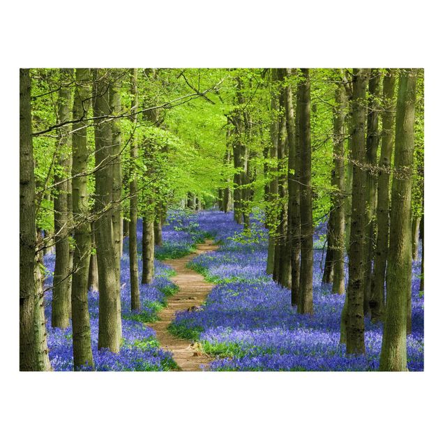 Telas decorativas paisagens Trail in Hertfordshire