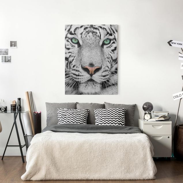 Telas decorativas tigres White Tiger