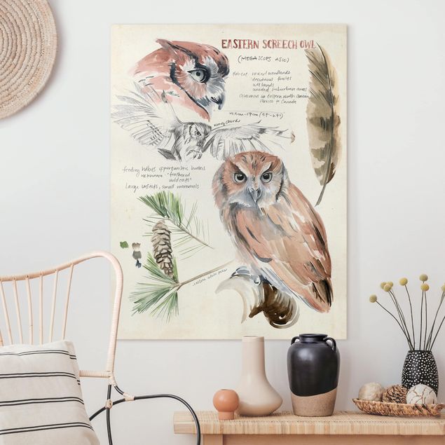 decoraçao para parede de cozinha Wilderness Journal - Owl