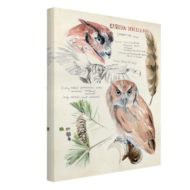 quadros de flores Wilderness Journal - Owl