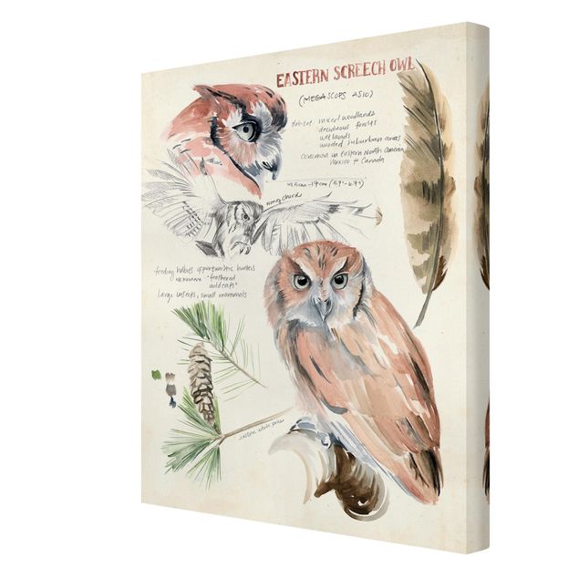 decoração quadros Wilderness Journal - Owl
