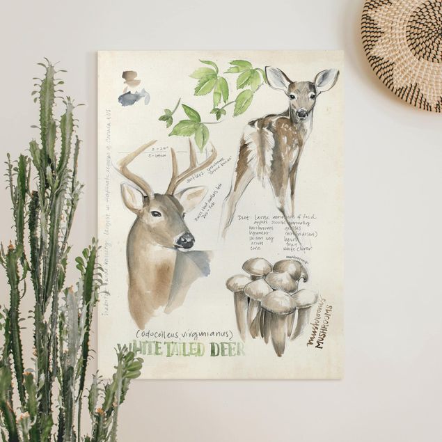 decoraçoes cozinha Wilderness Journal - Deer
