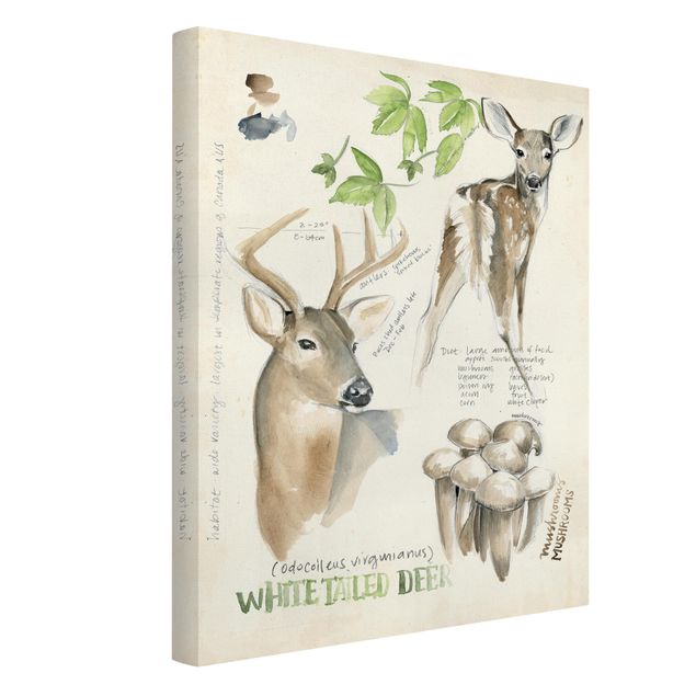 Quadros florais Wilderness Journal - Deer