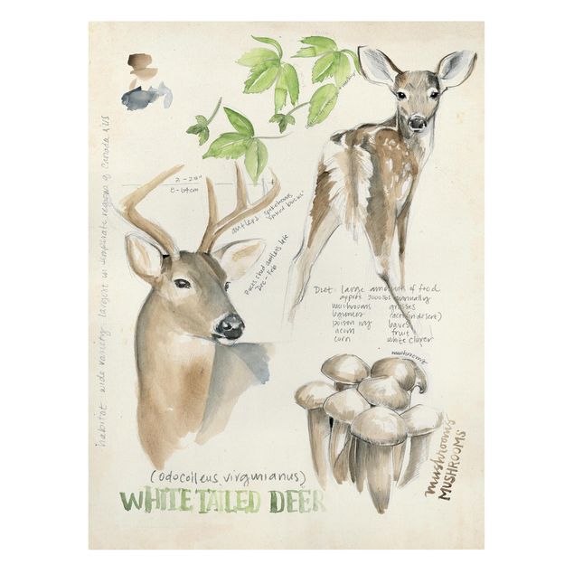 quadro com flores Wilderness Journal - Deer