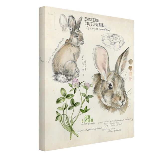 quadros de flores Wilderness Journal - Rabbit