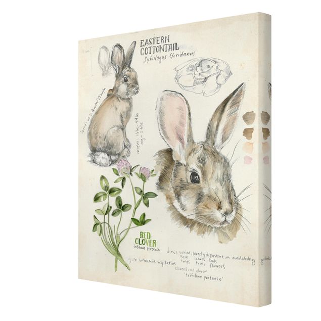 decoração quadros Wilderness Journal - Rabbit