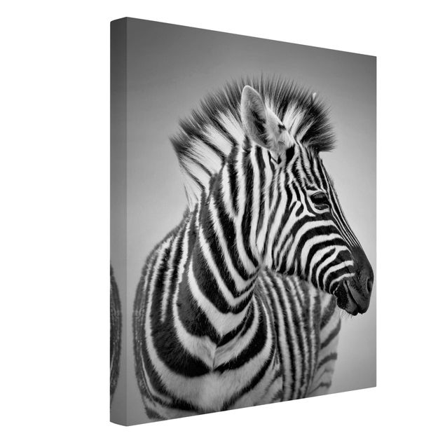 Telas decorativas em preto e branco Zebra Baby Portrait II