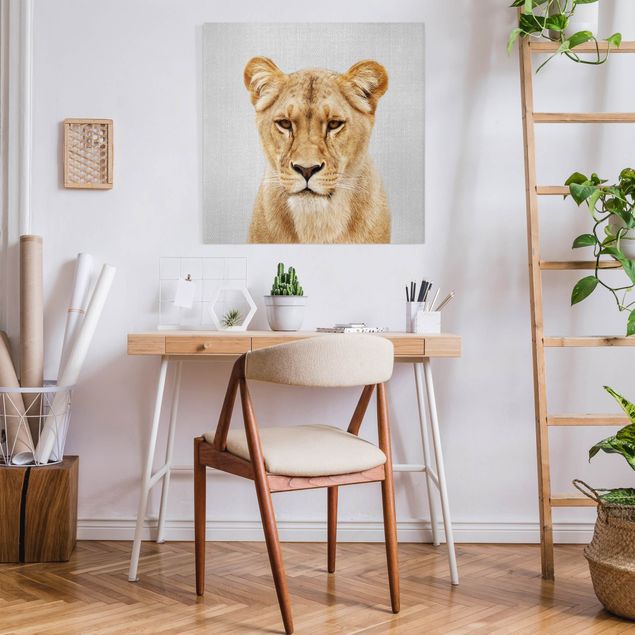 Telas decorativas leões Lioness Lisa