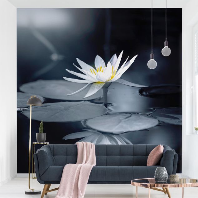 papel de parede moderno para sala Lotus Reflection In The Water