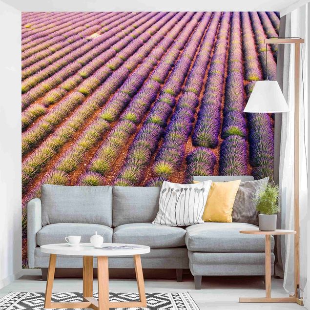 decoraçoes cozinha Picturesque Lavender Field