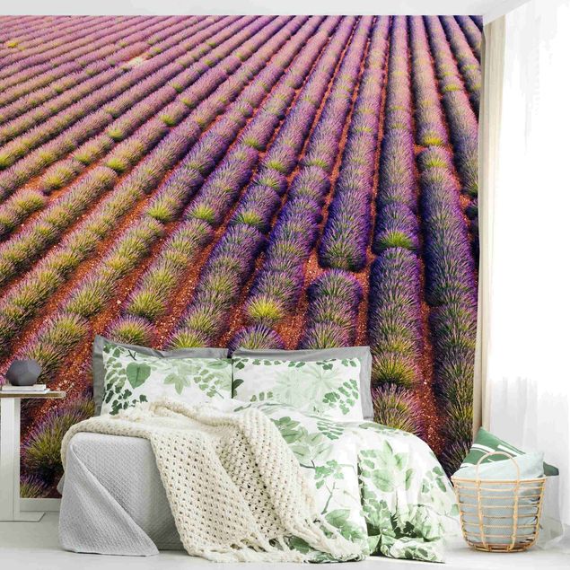 papel de parede moderno Picturesque Lavender Field