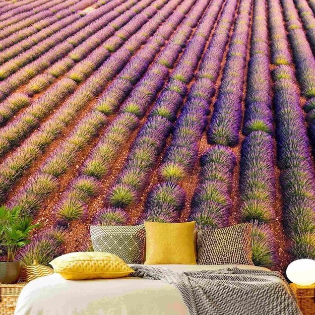 Papel de parede com flores Picturesque Lavender Field