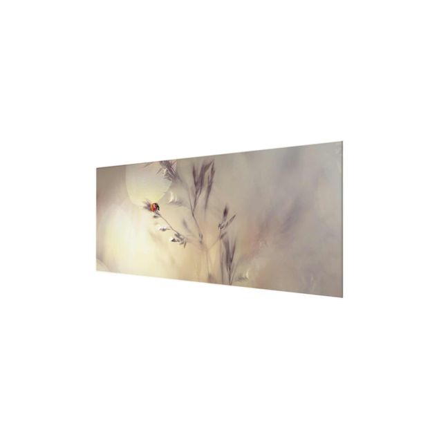 quadro de vidro Ladybird On Meadow Grass
