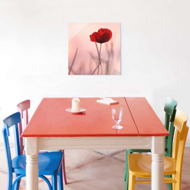 decoraçoes cozinha Poppy Flower In Twilight
