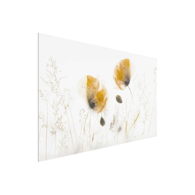 Quadros em vidro flores Poppy Flowers And Delicate Grasses In Soft Fog