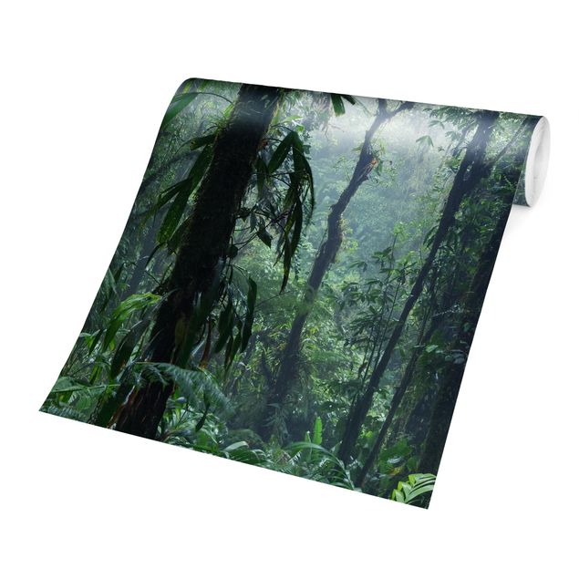 Papel de parede verde Monteverde Cloud Forest