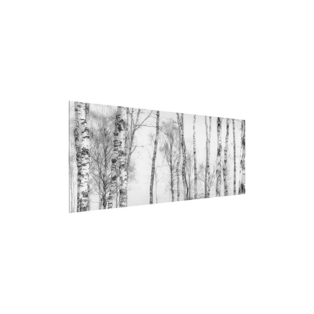 Quadros em vidro em preto e branco Mystic Birch Forest Black And White