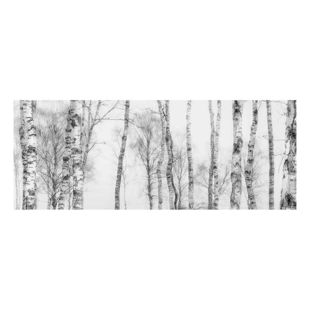 Quadros em vidro paisagens Mystic Birch Forest Black And White