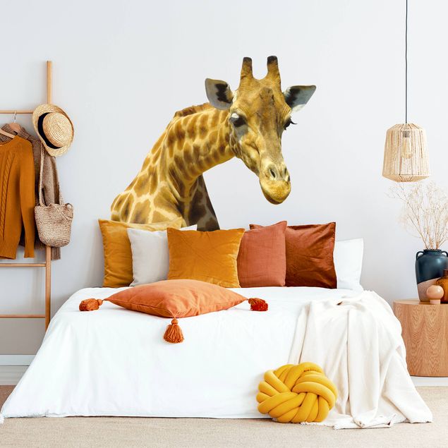 autocolantes decorativos parede Curious giraffe