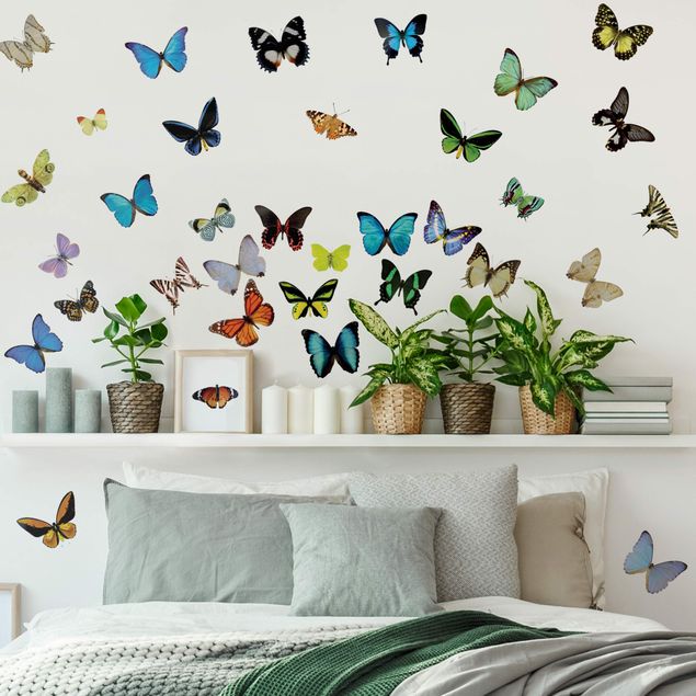 Autocolantes de parede borboletas No.51 Butterflies Set 2