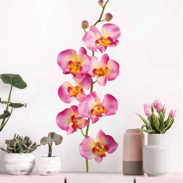 Autocolantes de parede orquídeas No.177 Orchid Rose II