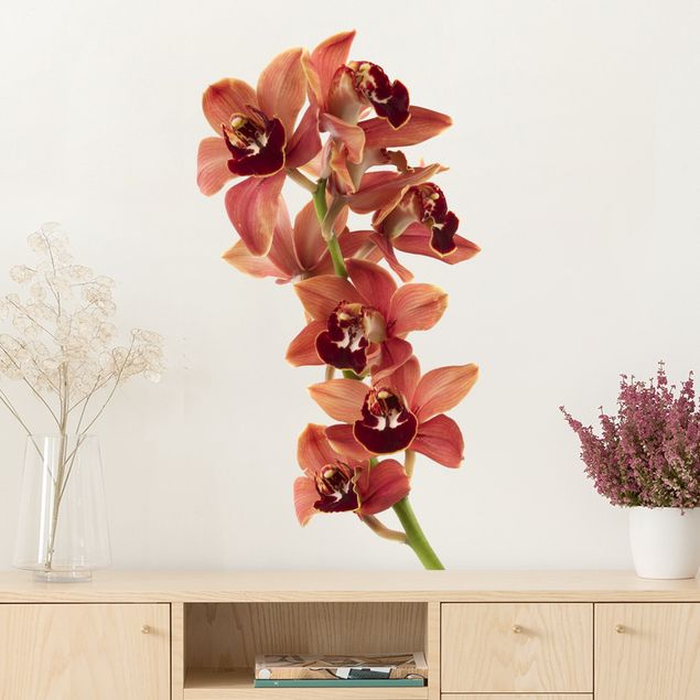 Autocolantes de parede orquídeas No.180 Orchid White Red II