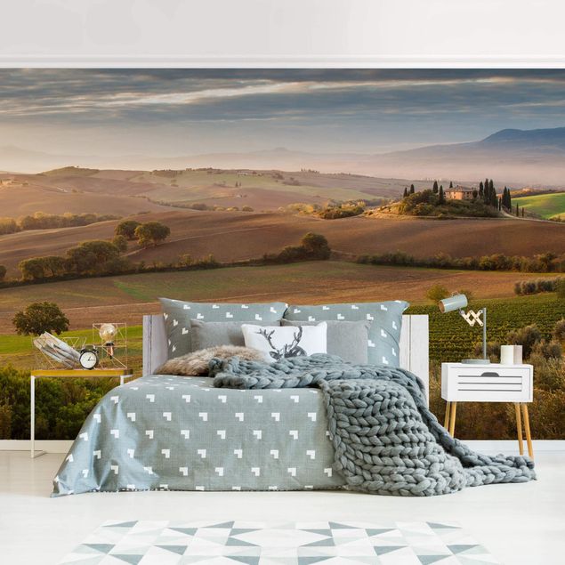 papel de parede moderno Olive Grove In Tuscany